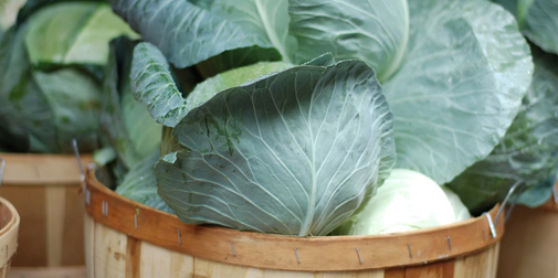 Bradshaw-Knight Foundation supports urban agriculture.