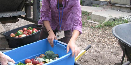 Bradshaw-Knight Foundation supports urban agriculture.