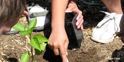 Bradshaw-Knight Foundation supports urban agriculture.