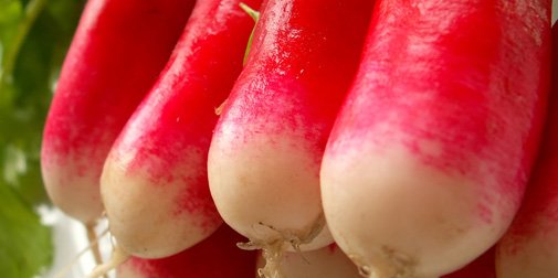 Bradshaw-Knight Foundation supports urban agriculture.