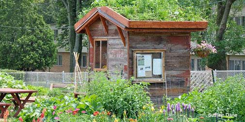 Bradshaw-Knight Foundation supports urban agriculture.