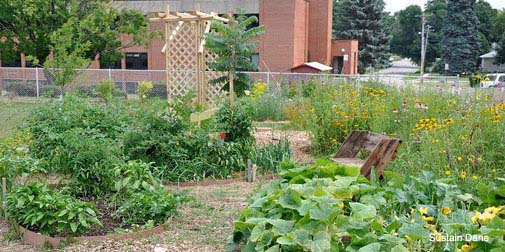Bradshaw-Knight Foundation supports urban agriculture.