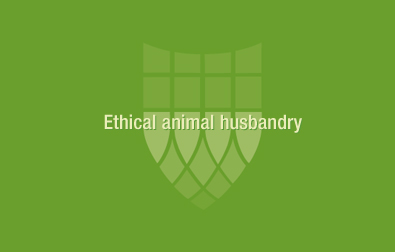 Bradshaw-Knight Foundation supports urban agriculture.