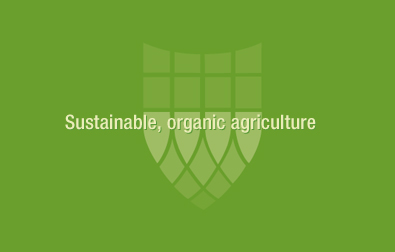 Bradshaw-Knight Foundation supports urban agriculture.